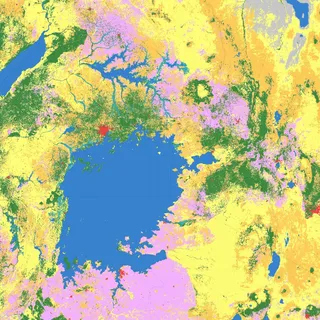 Global Land Cover