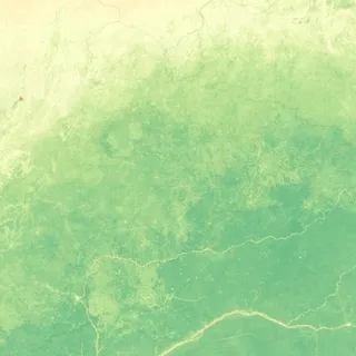 Vegetation (NDVI)